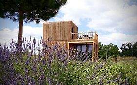 Manege De La Chapiniere - Dadaloge Tiny-House