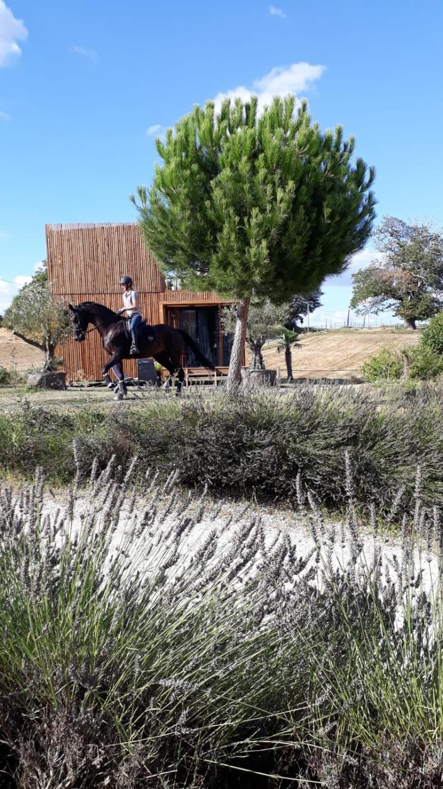 Manege De La Chapiniere - Dadaloge Tiny-House Villa Chateauvieux  Exterior photo
