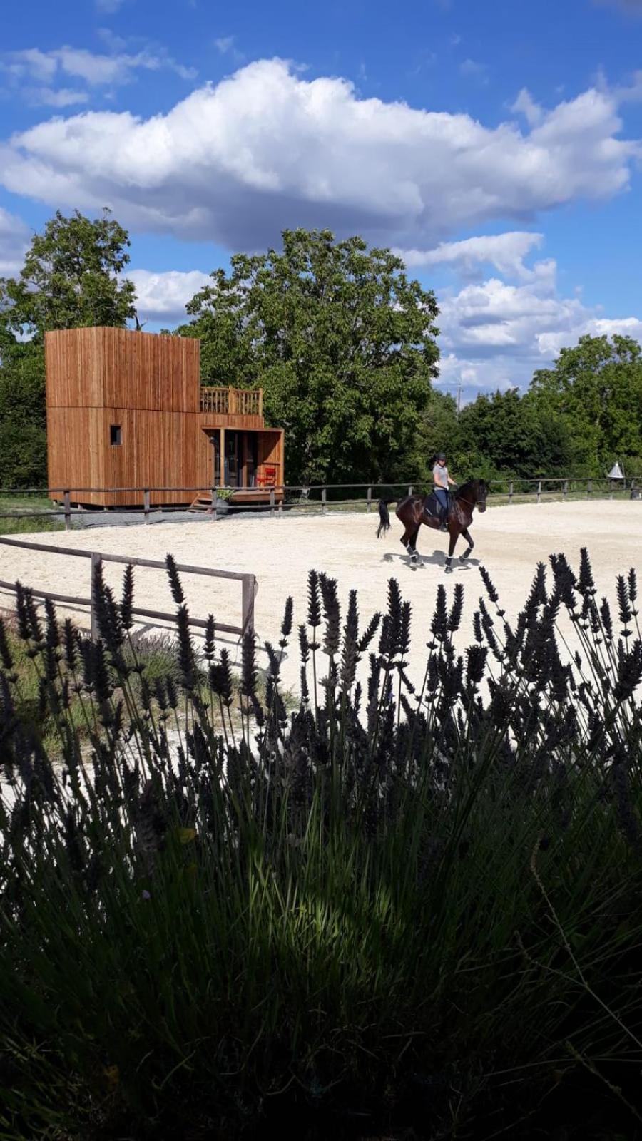 Manege De La Chapiniere - Dadaloge Tiny-House Villa Chateauvieux  Exterior photo